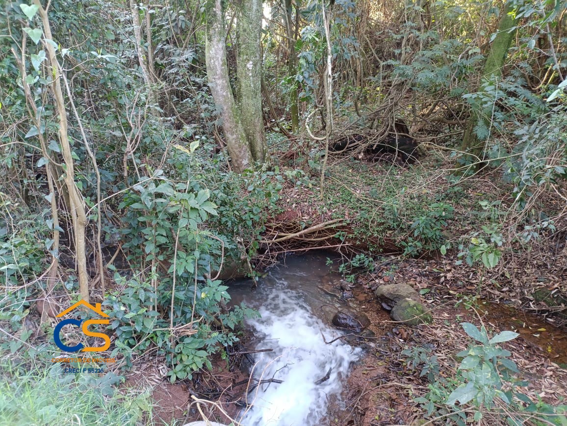 Sitio Medianeira -PR  Linha São Bernardo - Foto 9