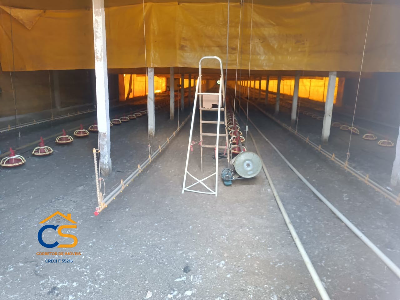 sitio a venda em matelandia linha santa lucia - Foto 8