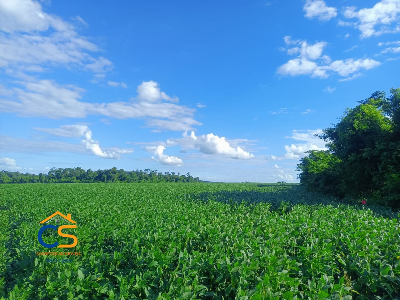 Vende-se área de terra  Paraguai cidade Minga Guazú