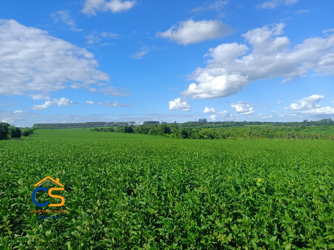 Vende-se área de terra  Paraguai cidade Minga Guazú - Foto 3