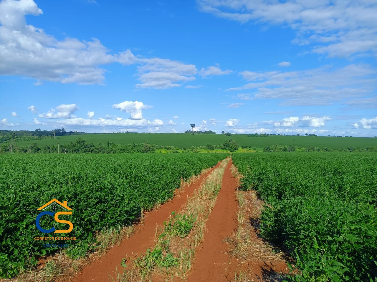 Vende-se área de terra  Paraguai cidade Minga Guazú - Foto 4