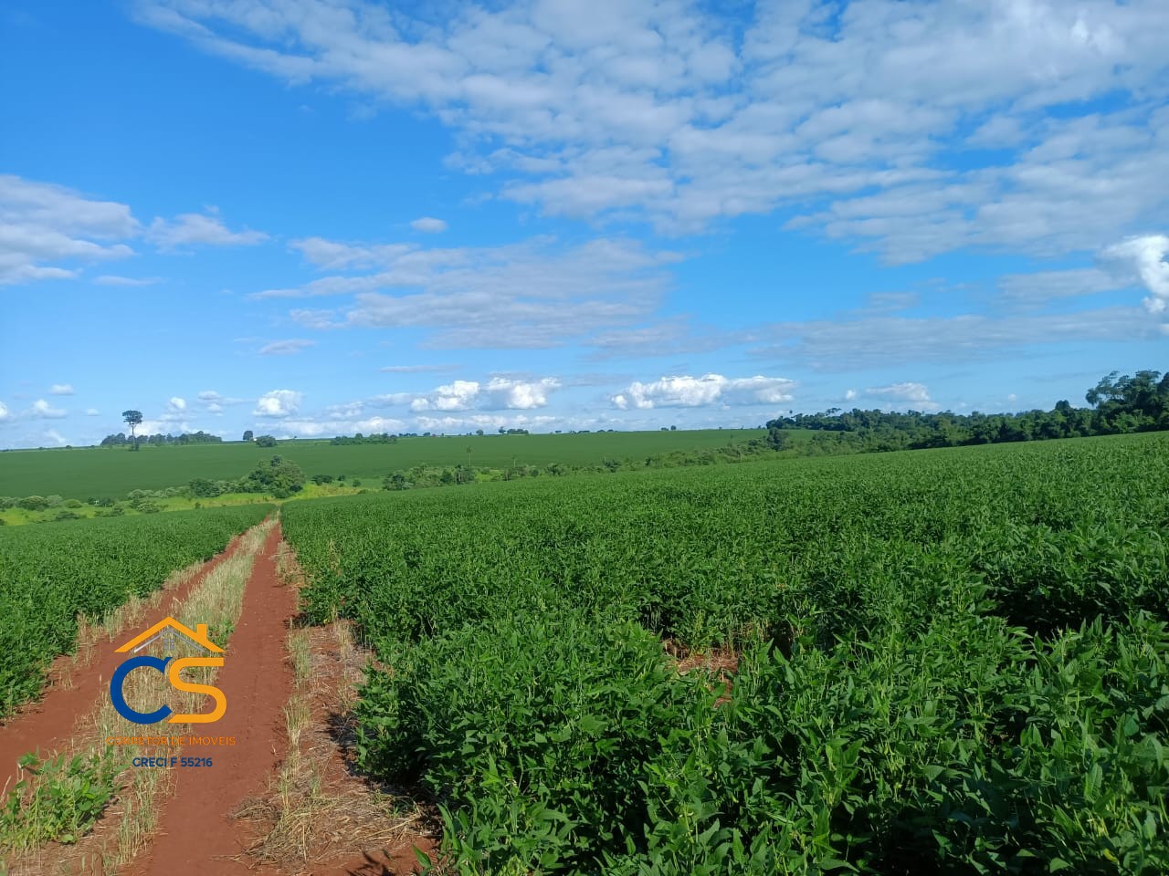 Vende-se área de terra  Paraguai cidade Minga Guazú - Foto 5