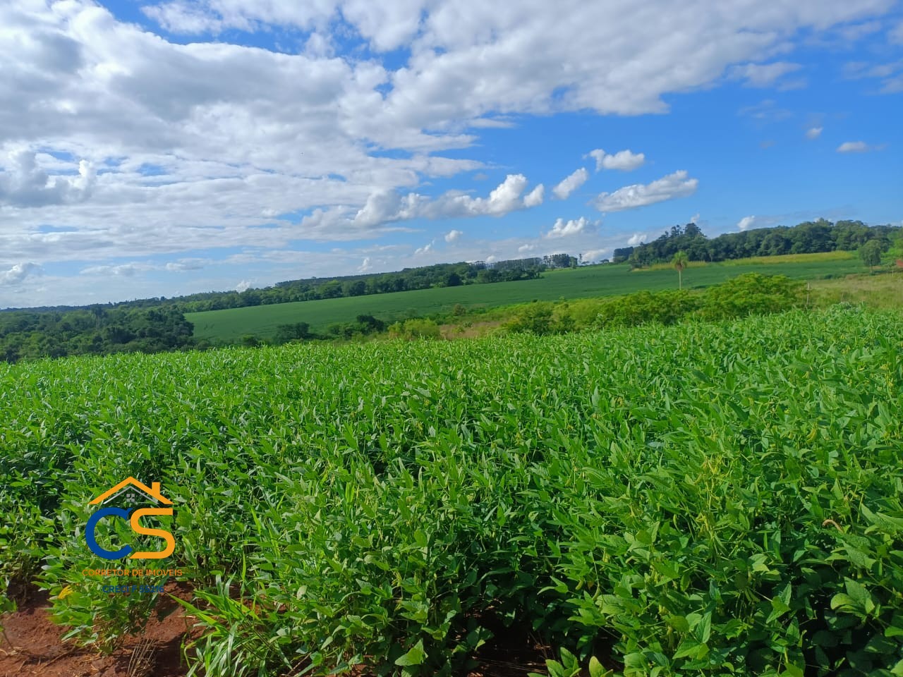 Vende-se área de terra  Paraguai cidade Minga Guazú - Foto 7