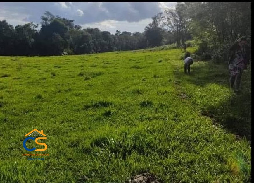 Chácara com 4.3 Alqueire  Missal PR - Foto 6