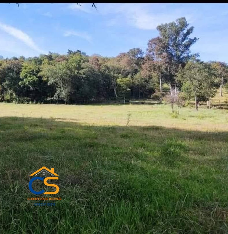 Chácara com 4.3 Alqueire  Missal PR - Foto 6