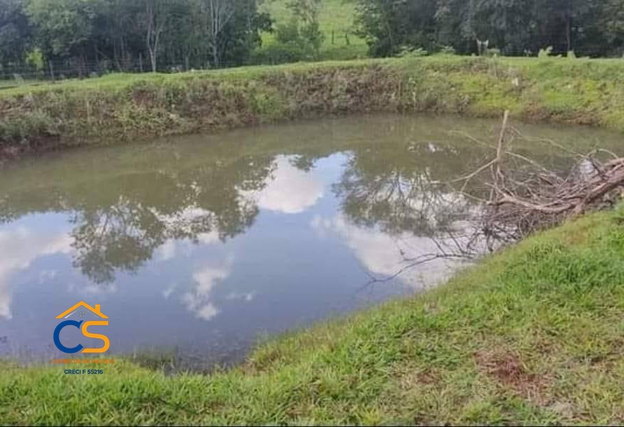 Chácara com 4.3 Alqueire  Missal PR - Foto 8