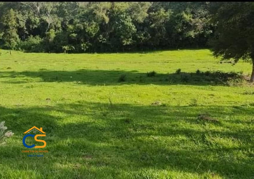 Chácara com 4.3 Alqueire  Missal PR - Foto 7