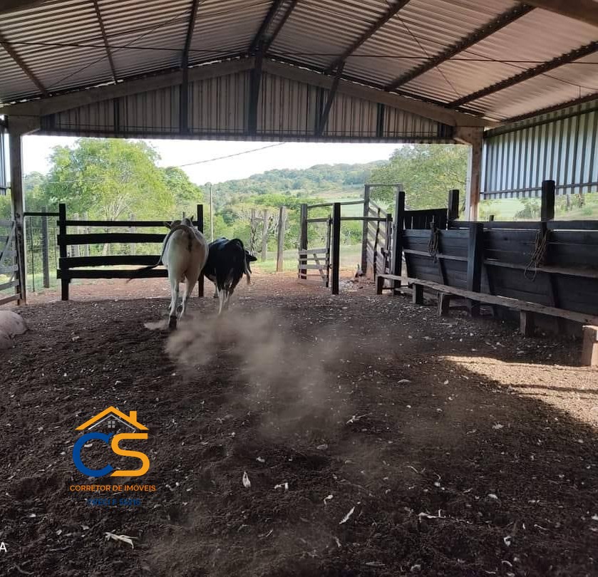 Chácara com 4.3 Alqueire  Missal PR - Foto 10