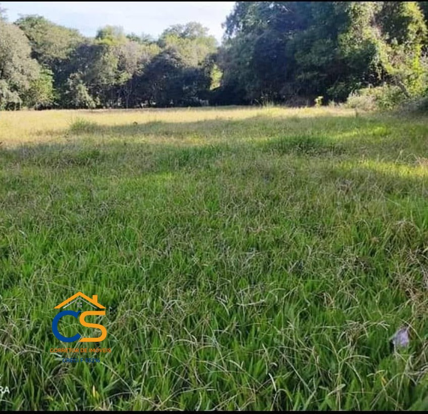 Chácara com 4.3 Alqueire  Missal PR - Foto 11