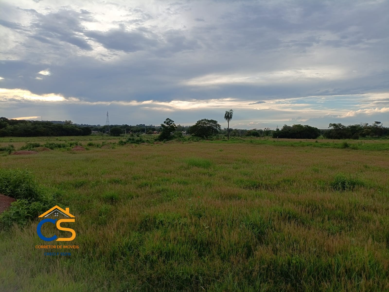 Vende-se chácara d. 1000 metros linha da granja Missal - Foto 4