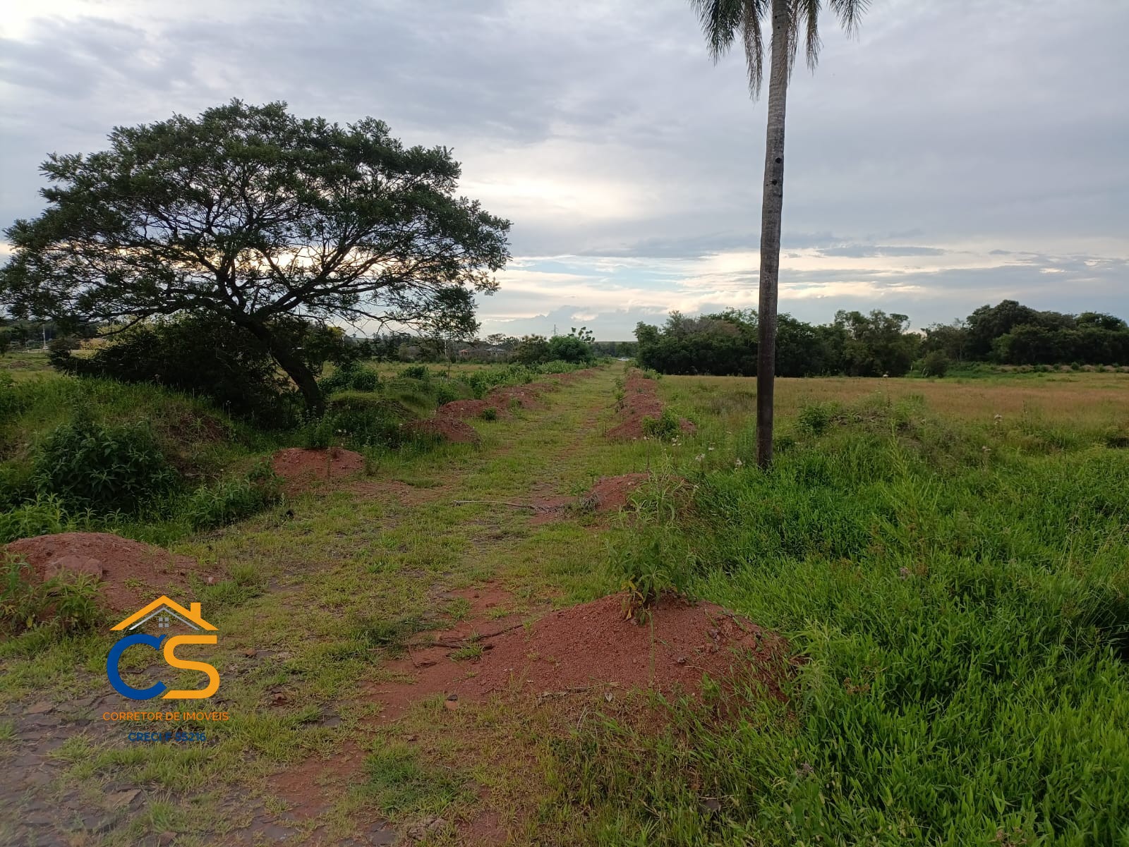 Vende-se chácara d. 1000 metros linha da granja Missal - Foto 5