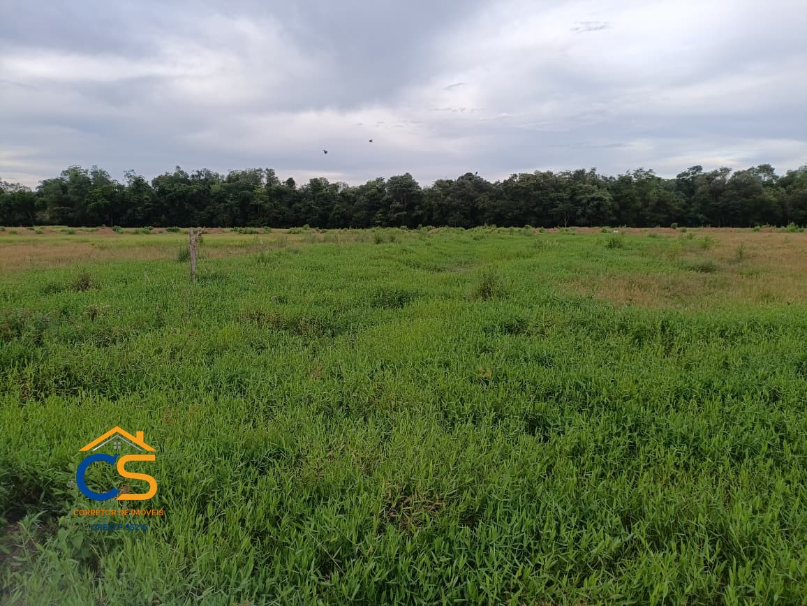 Vende-se chácara d. 1000 metros linha da granja Missal - Foto 6