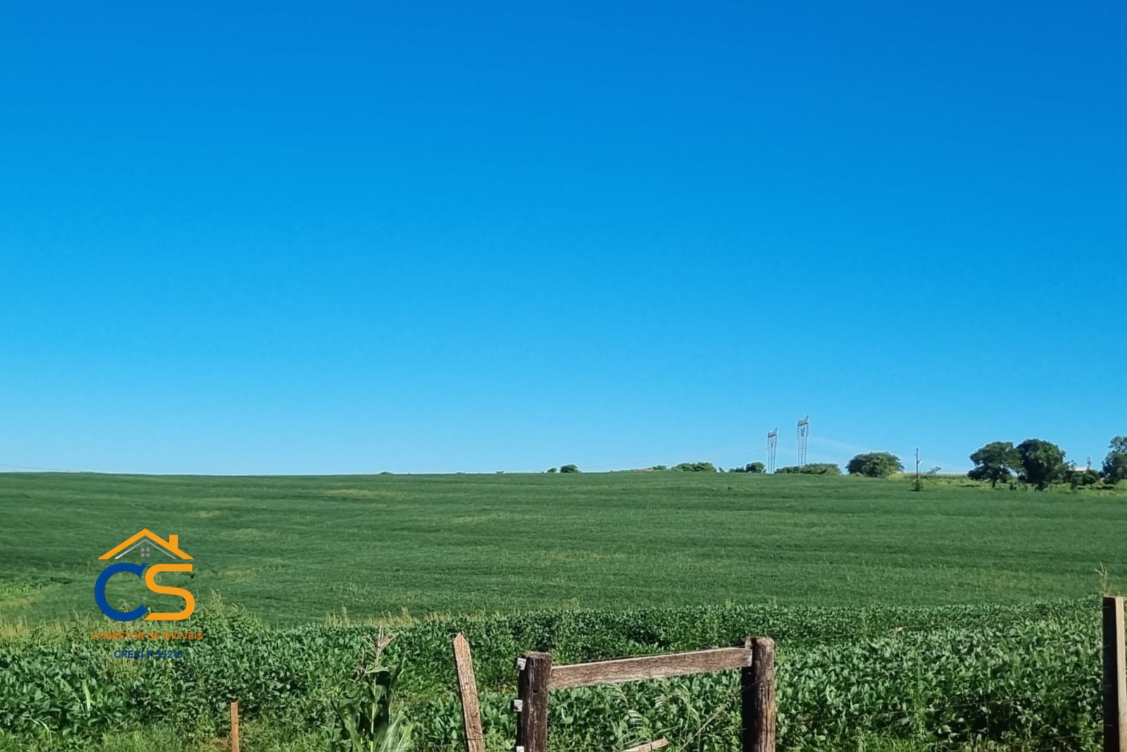 Vende-se Fazenda em Linha Padroeira Ramilândia - Foto 3