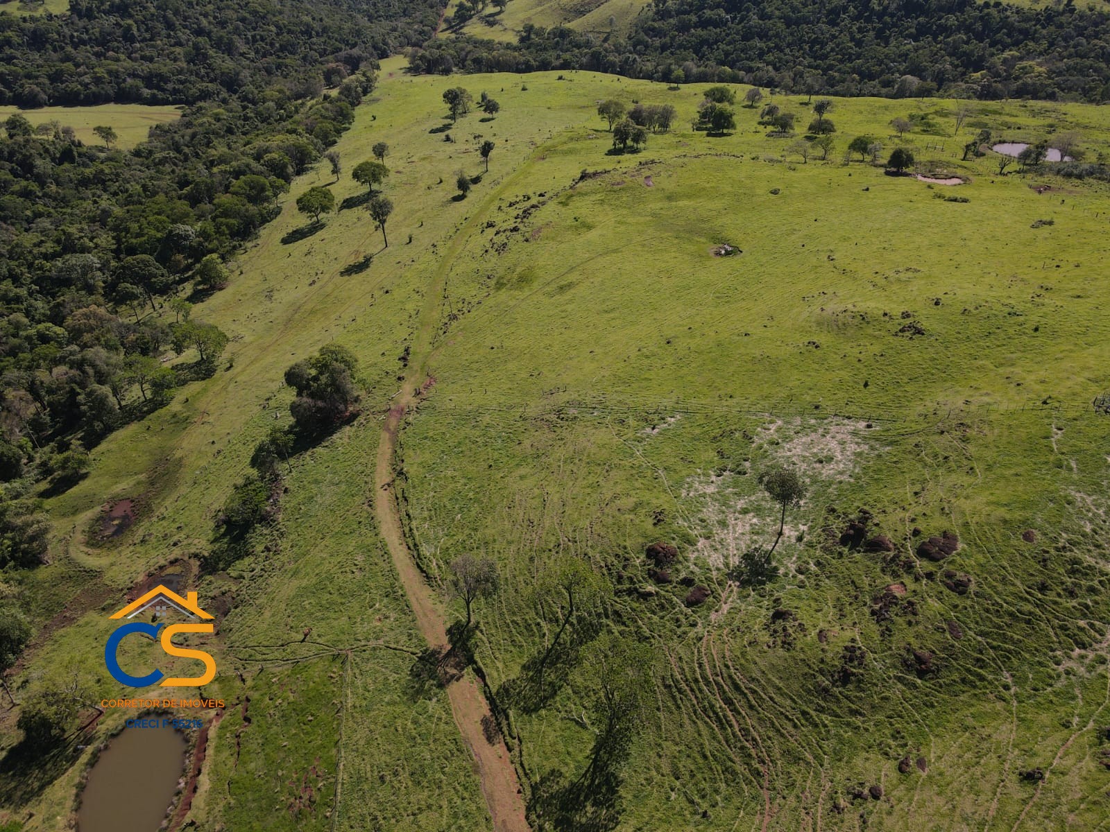Vende-se Fazenda em Linha Padroeira Ramilândia - Foto 4
