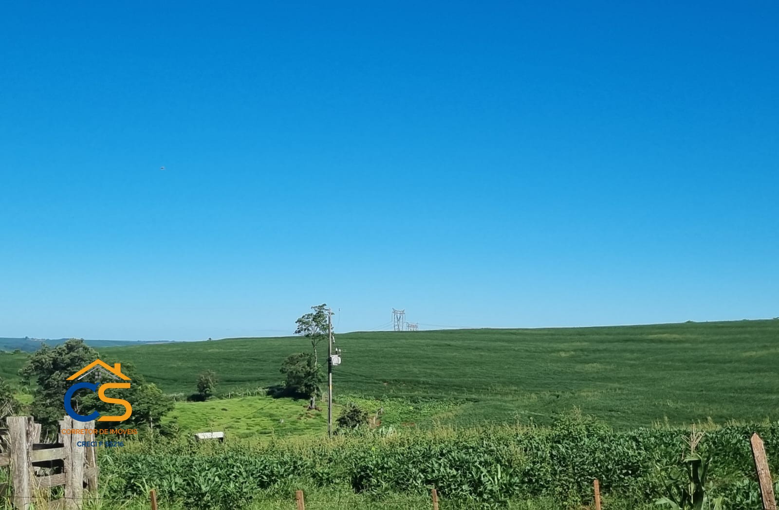 Vende-se Fazenda em Linha Padroeira Ramilândia - Foto 5