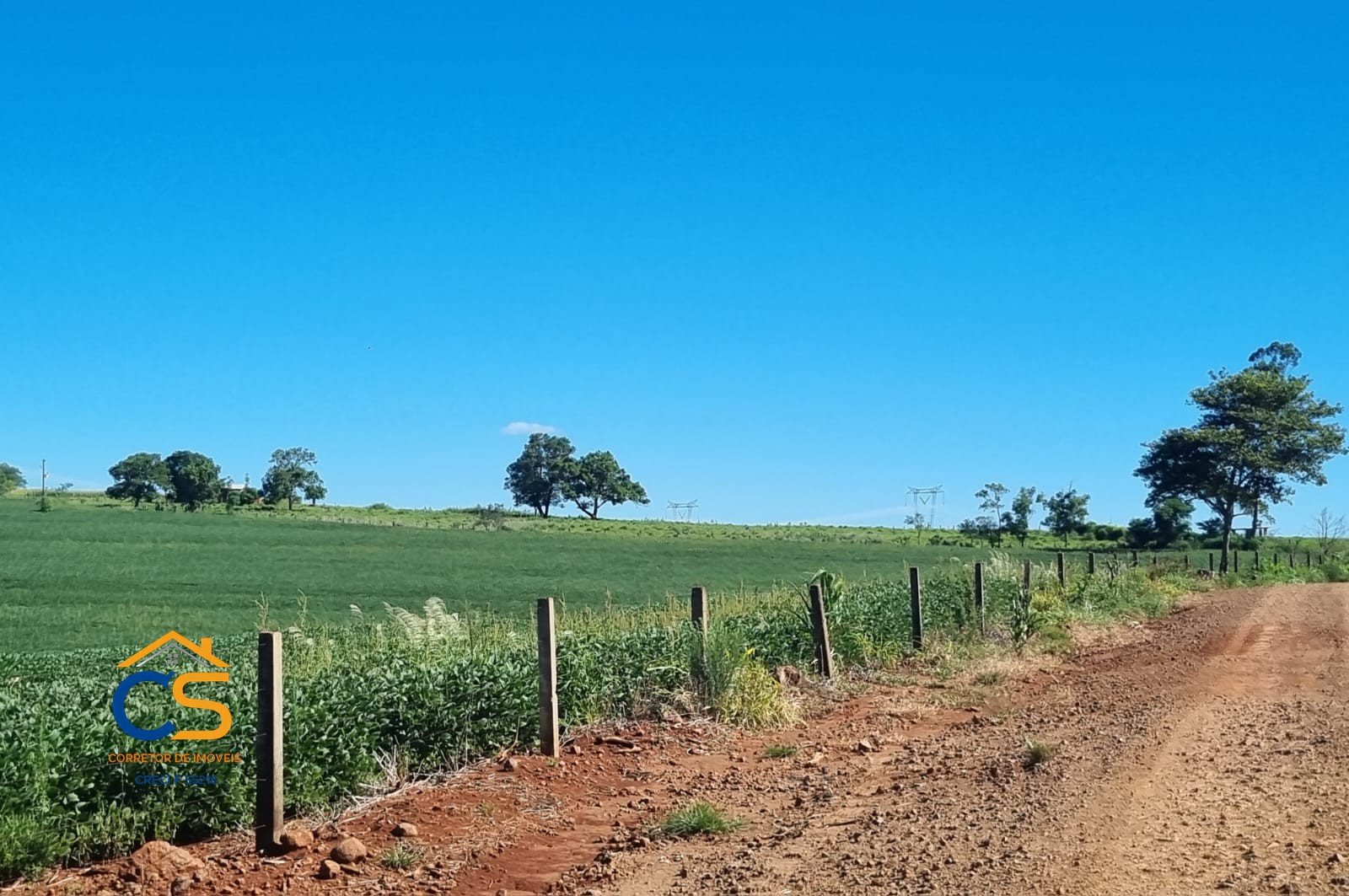 Vende-se Fazenda em Linha Padroeira Ramilândia - Foto 8