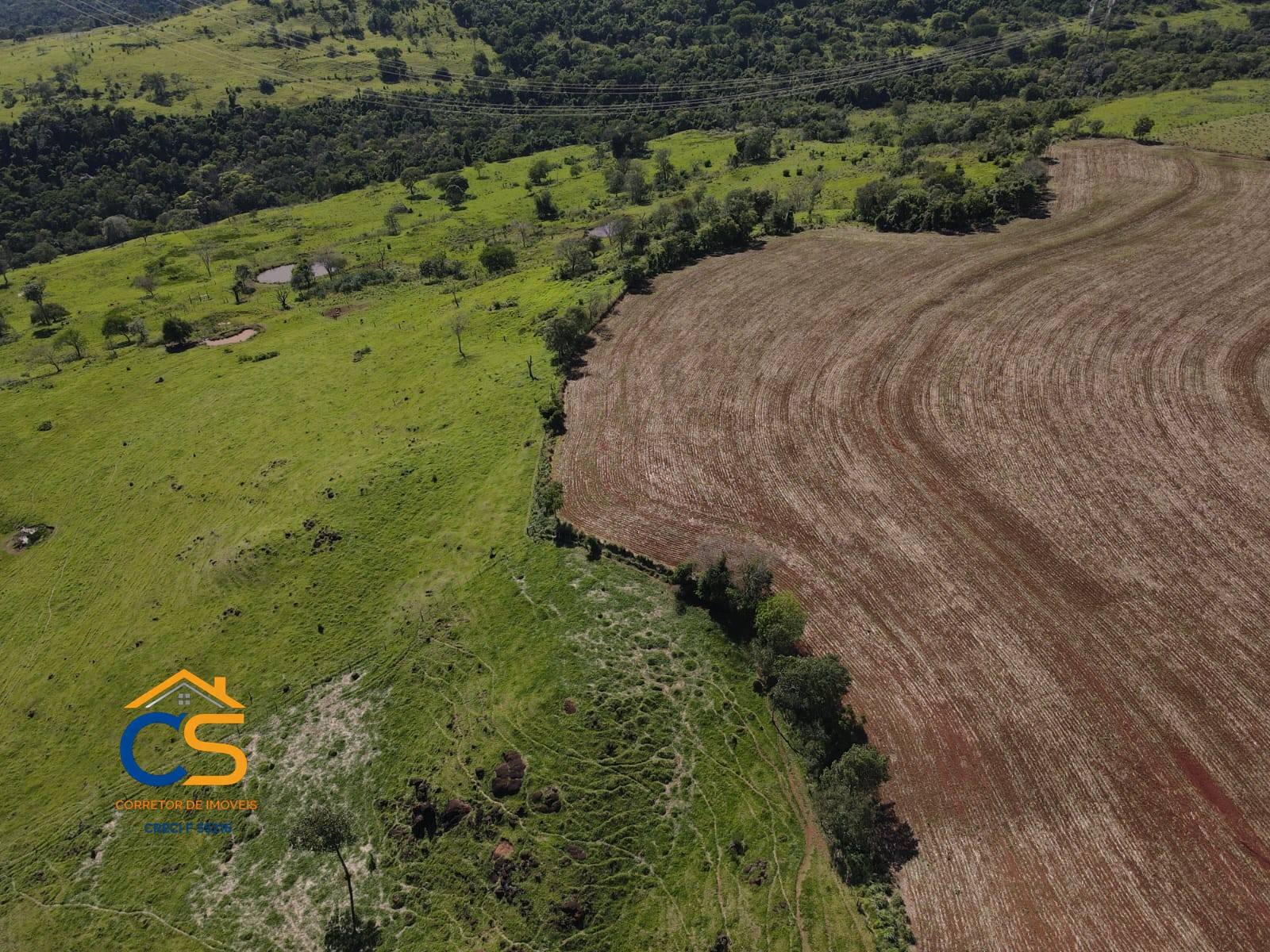 Vende-se Fazenda em Linha Padroeira Ramilândia - Foto 13