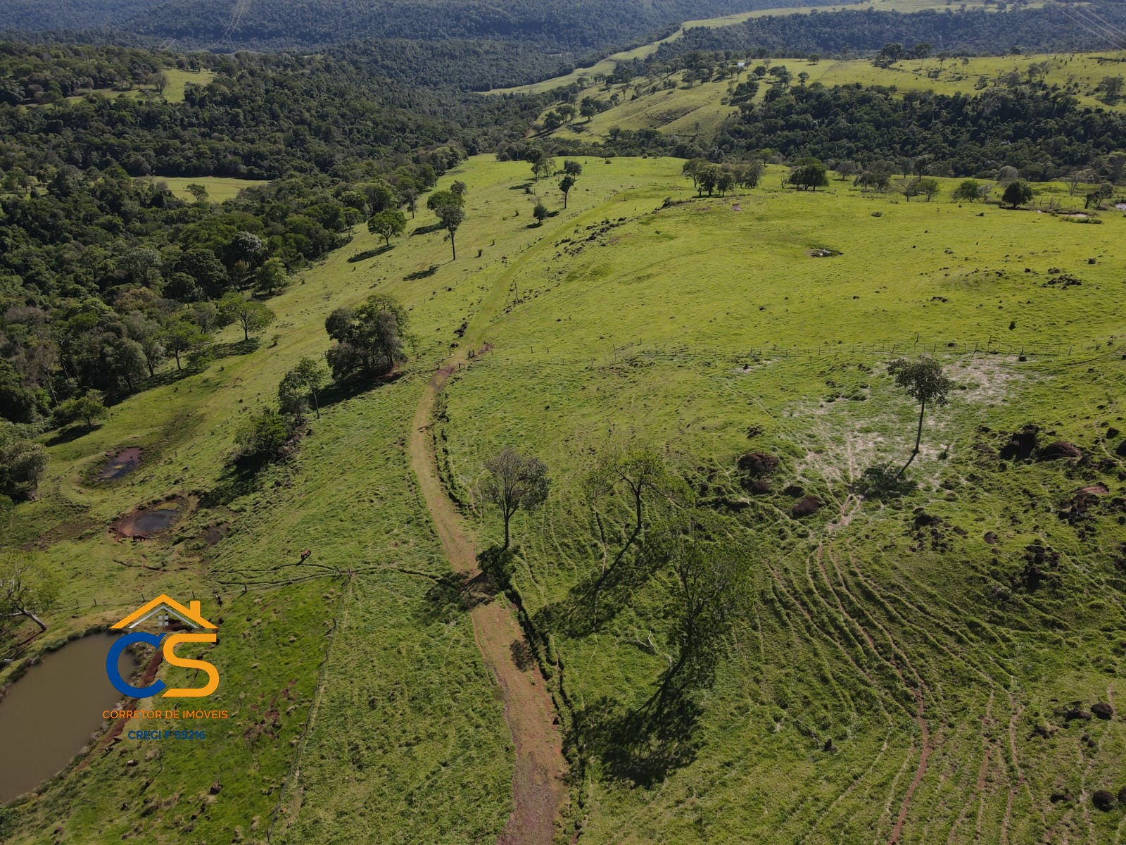 Vende-se Fazenda em Linha Padroeira Ramilândia - Foto 16