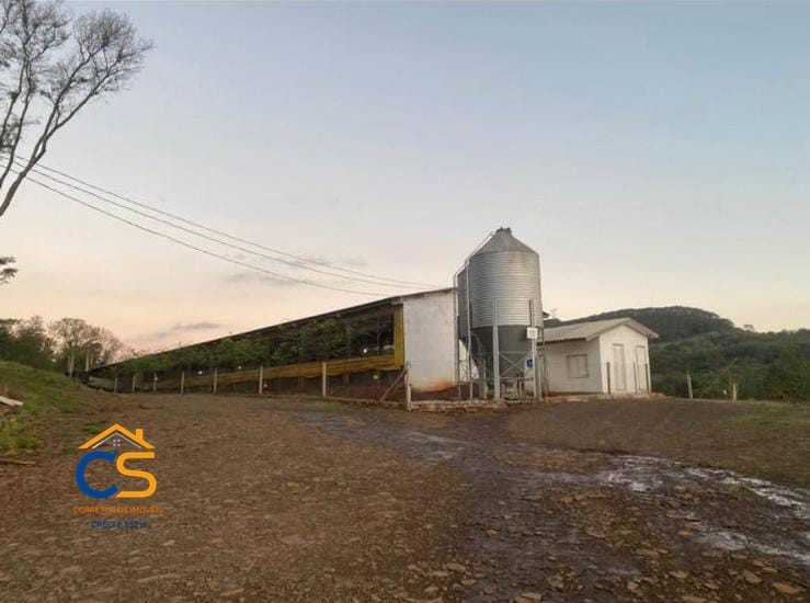 Vende-se Sitio com Granja de suínos  em Missal