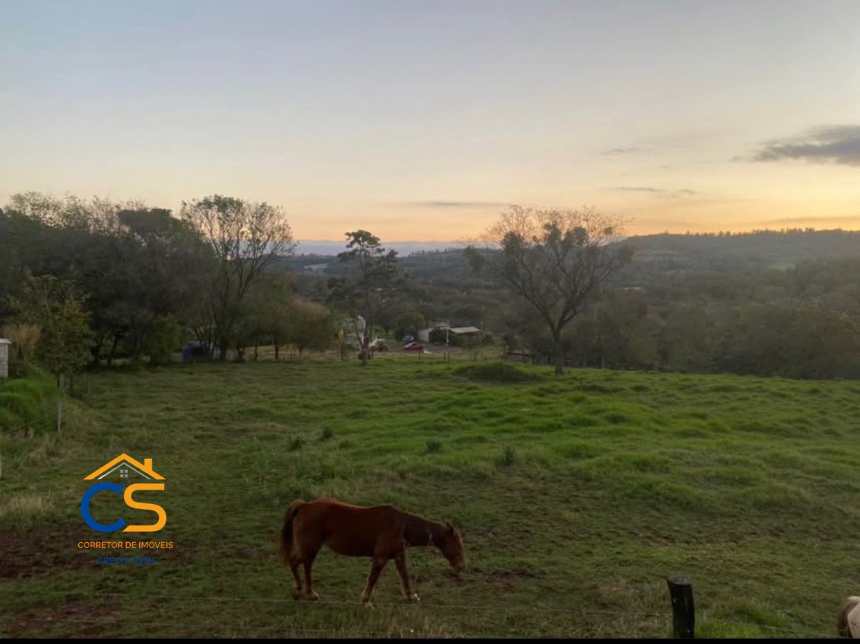 Vende-se Sitio com Granja de suínos  em Missal - Foto 3