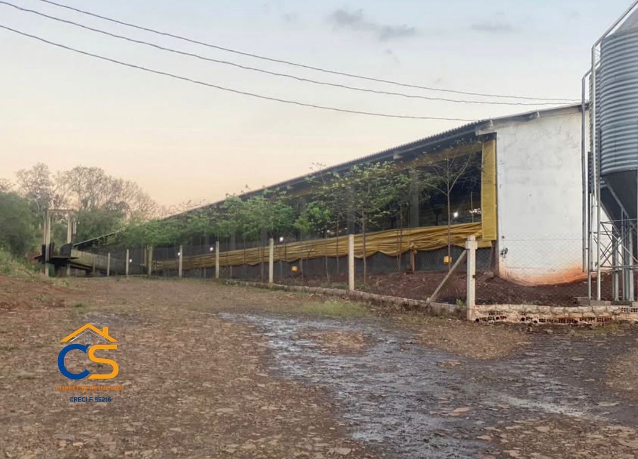 Vende-se Sitio com Granja de suínos  em Missal - Foto 5