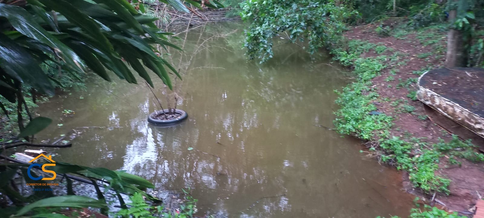Vende-se Chácara com Granja de suínos em Missal-Pr - Foto 4