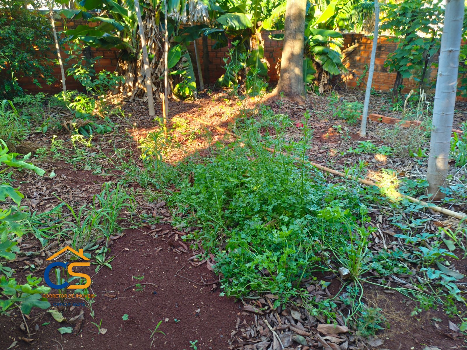 Casa a venda no Centro de Missal - Pr - Foto 5