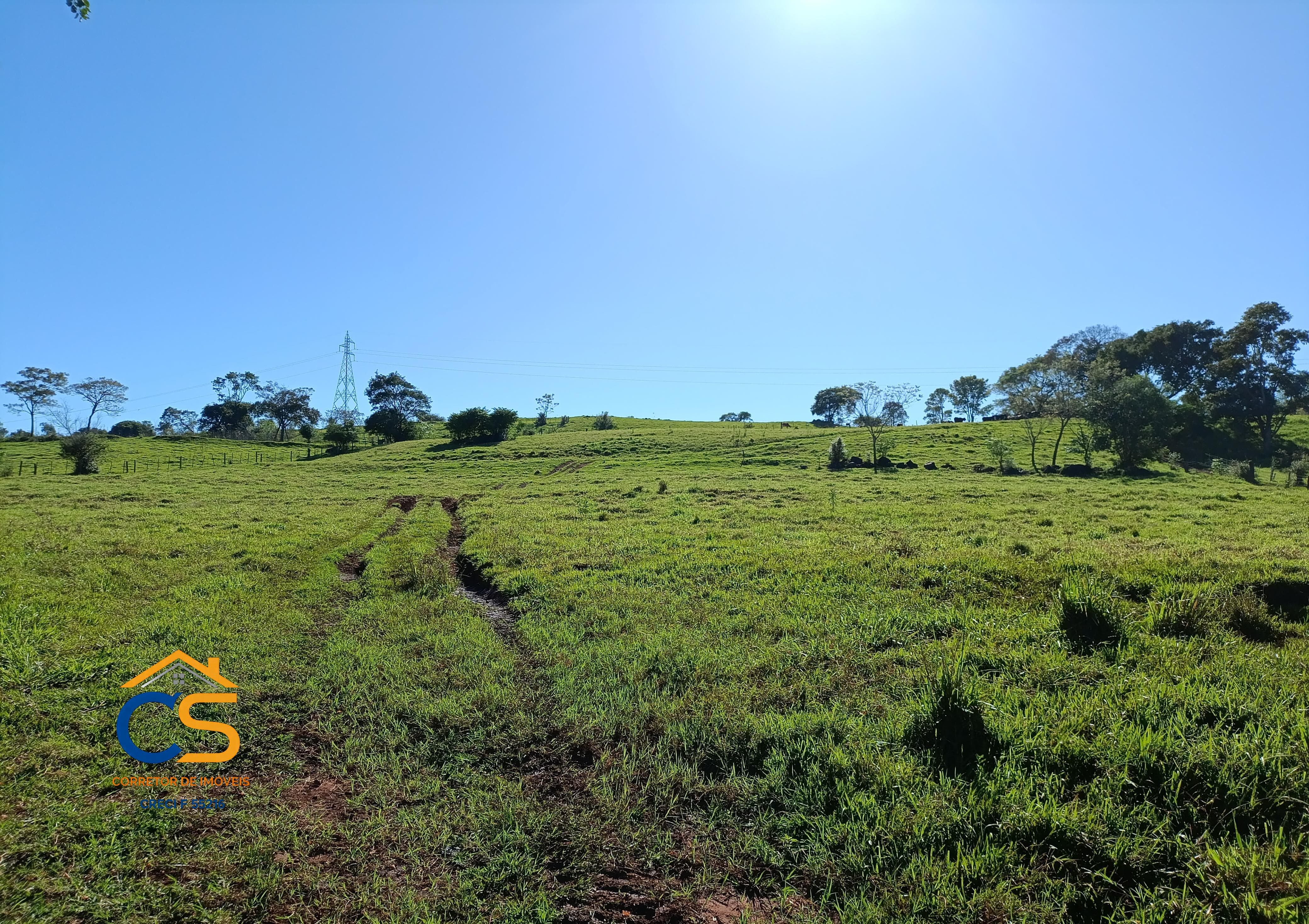 Vende-se sitio em  São José dos Pinhais Missal - Pr. - Foto 3