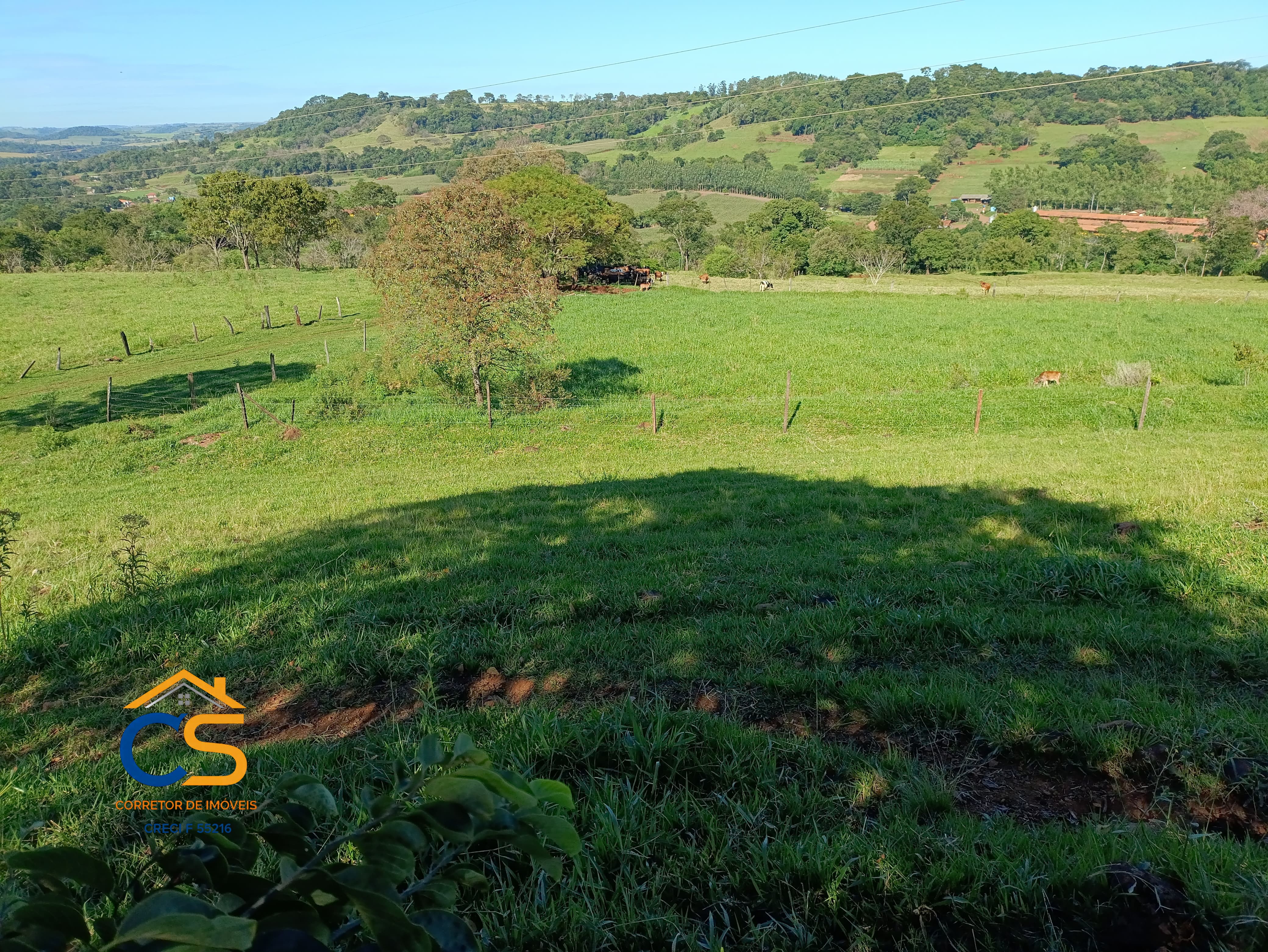 Vende-se sitio em  São José dos Pinhais Missal - Pr. - Foto 7