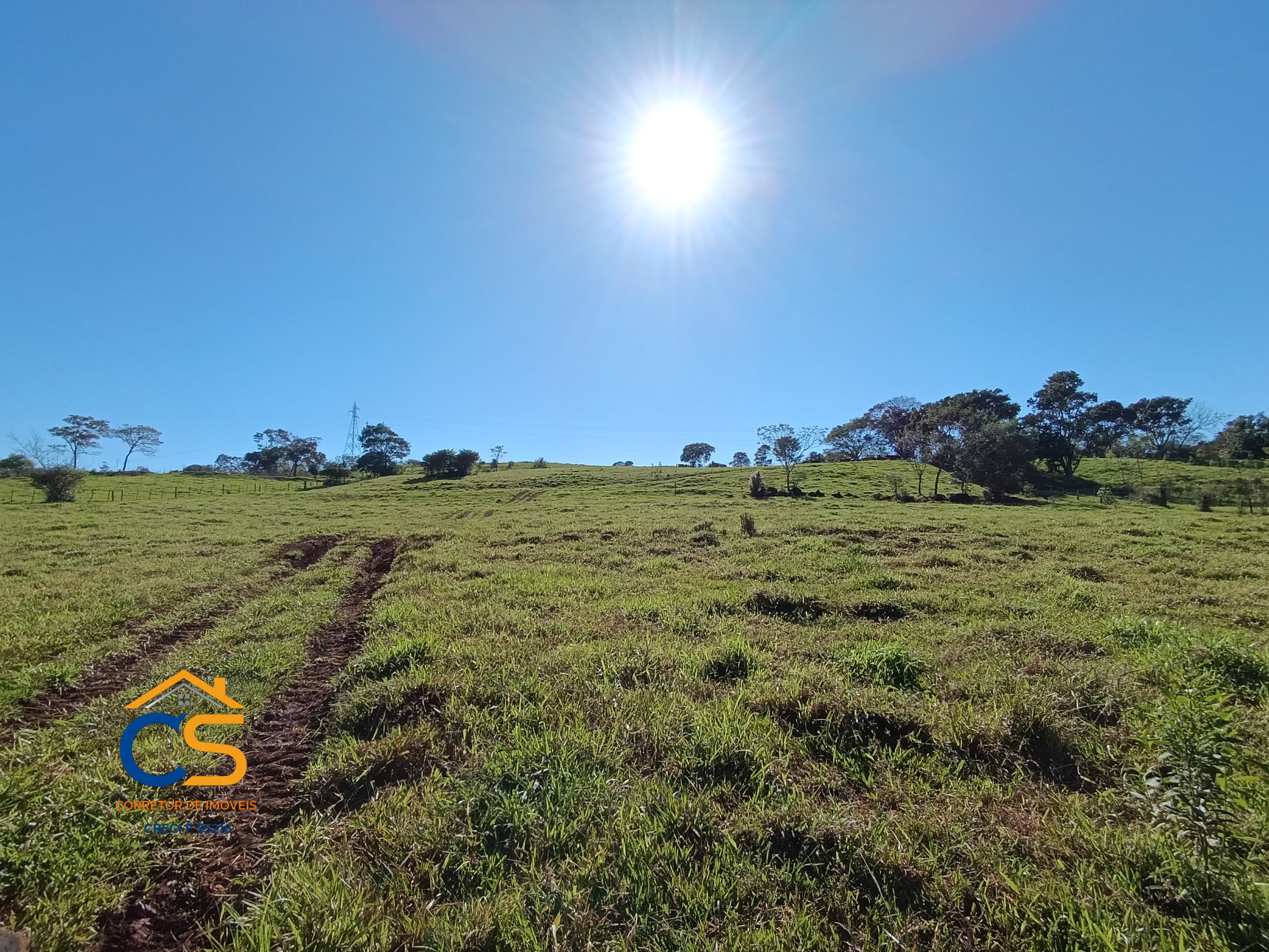 Vende-se sitio em  São José dos Pinhais Missal - Pr. - Foto 8