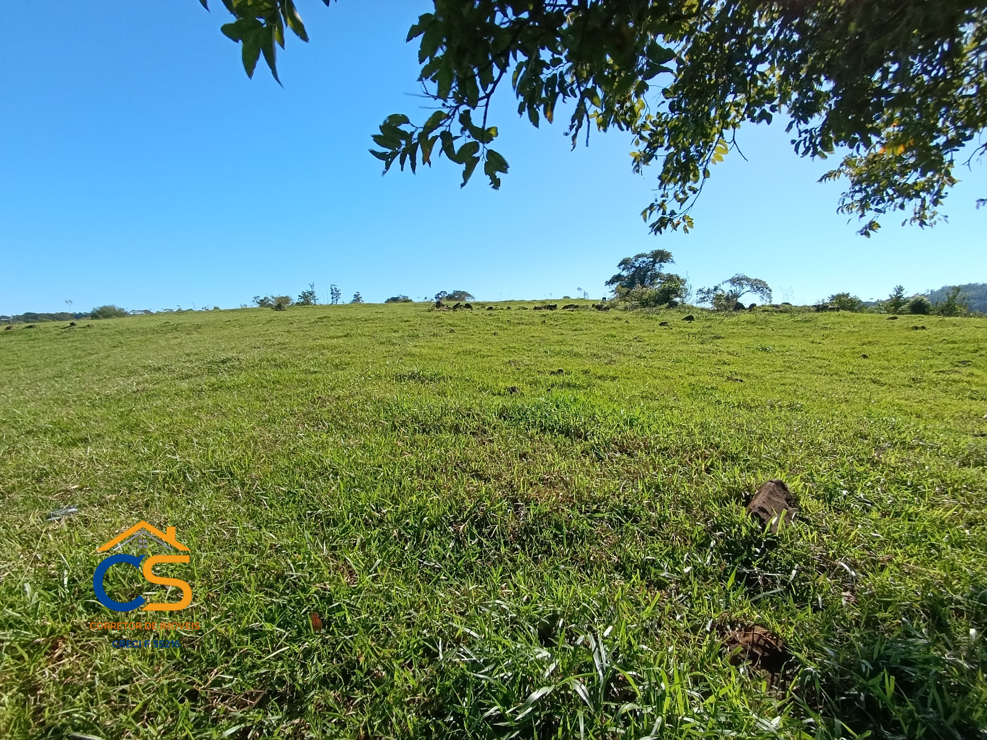 Vende-se sitio em  São José dos Pinhais Missal - Pr. - Foto 9