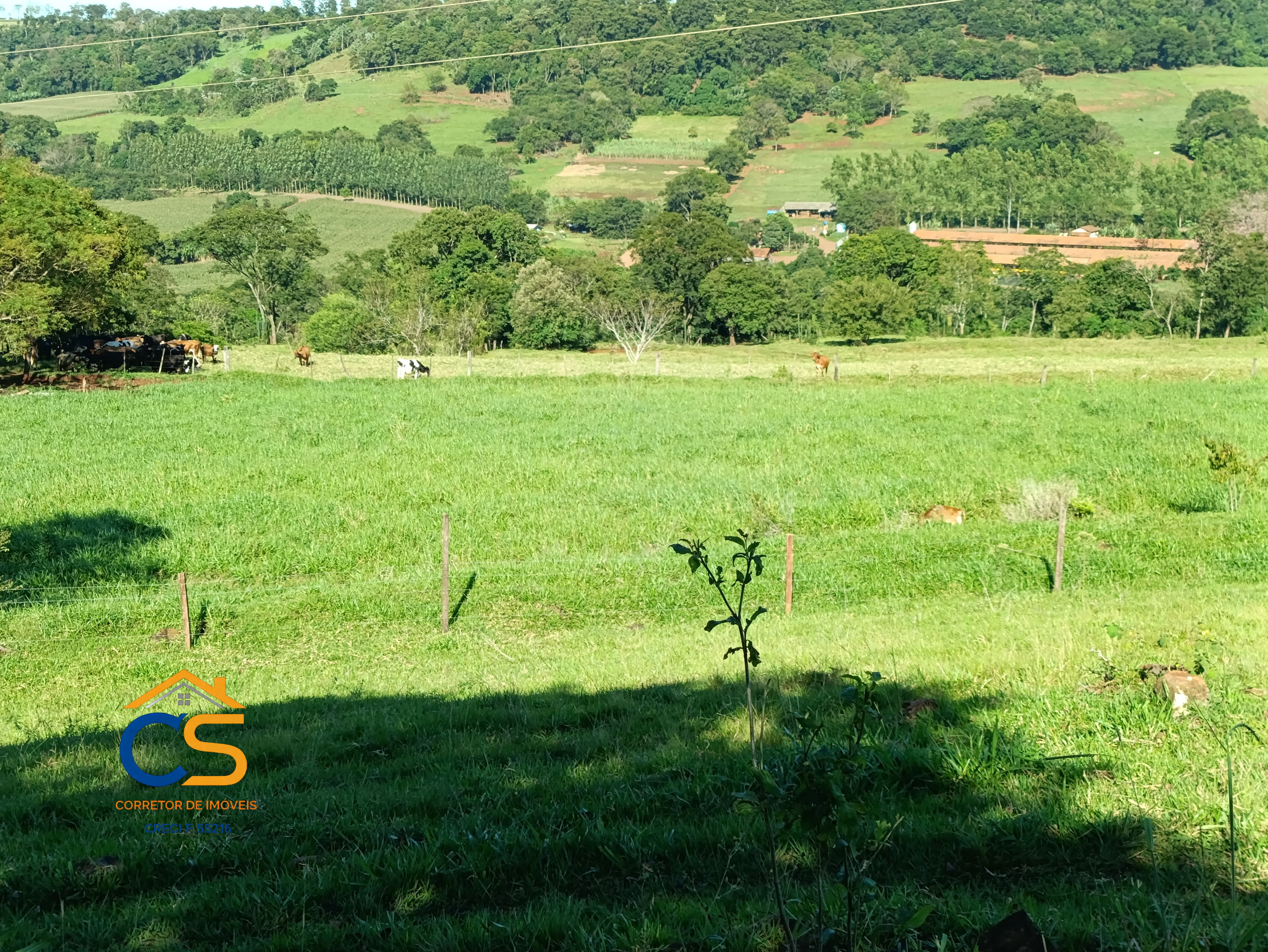 Vende-se sitio em  São José dos Pinhais Missal - Pr. - Foto 10