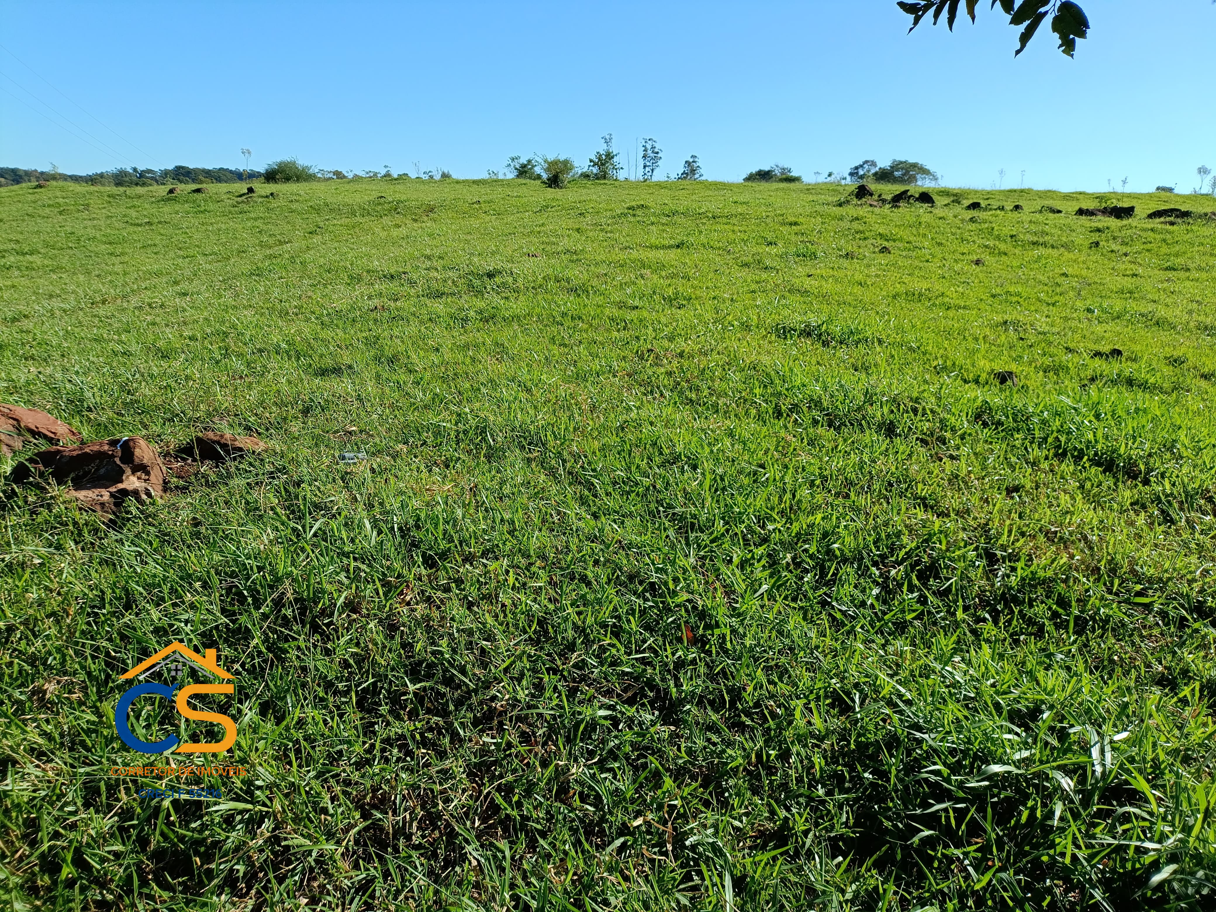Vende-se sitio em  São José dos Pinhais Missal - Pr. - Foto 11