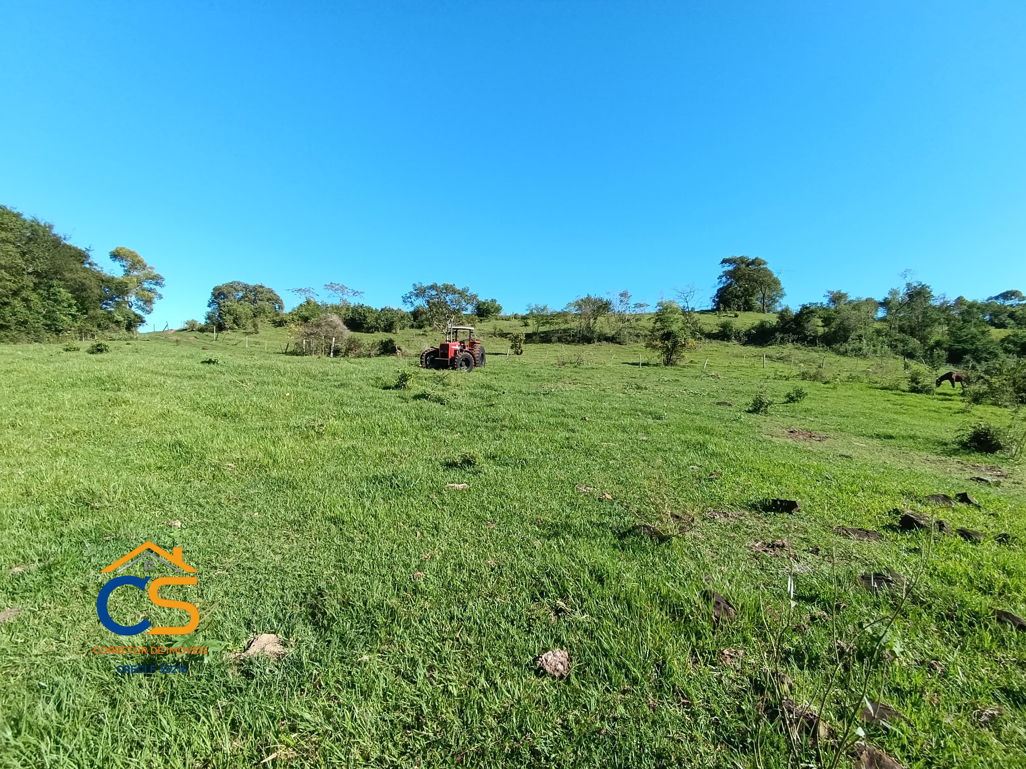 Vende-se sitio em  São José dos Pinhais Missal - Pr. - Foto 12