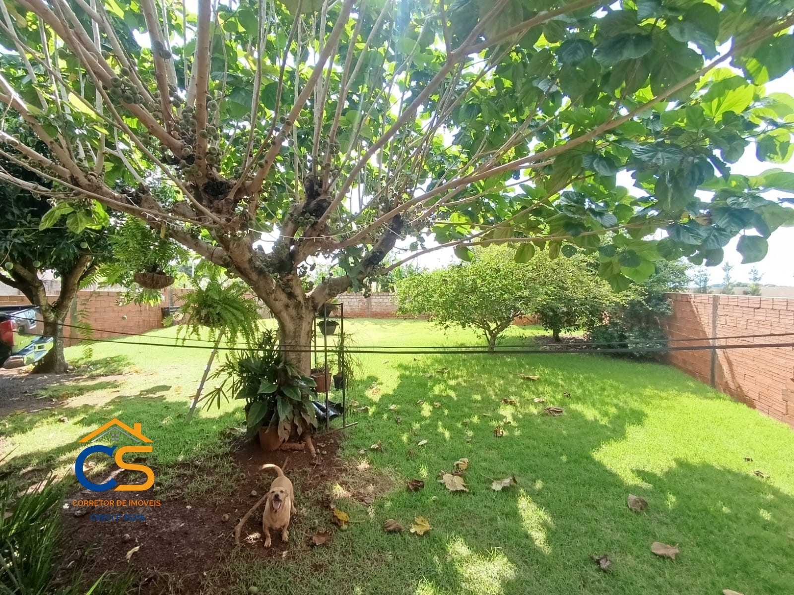 Vende-se Casa Bairro Jardim Gramado  Missal-PR - Foto 4