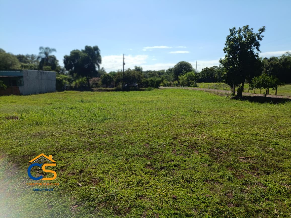 Vende-se chácara Localizada na Linha da Granja - Missal - PR - Foto 5