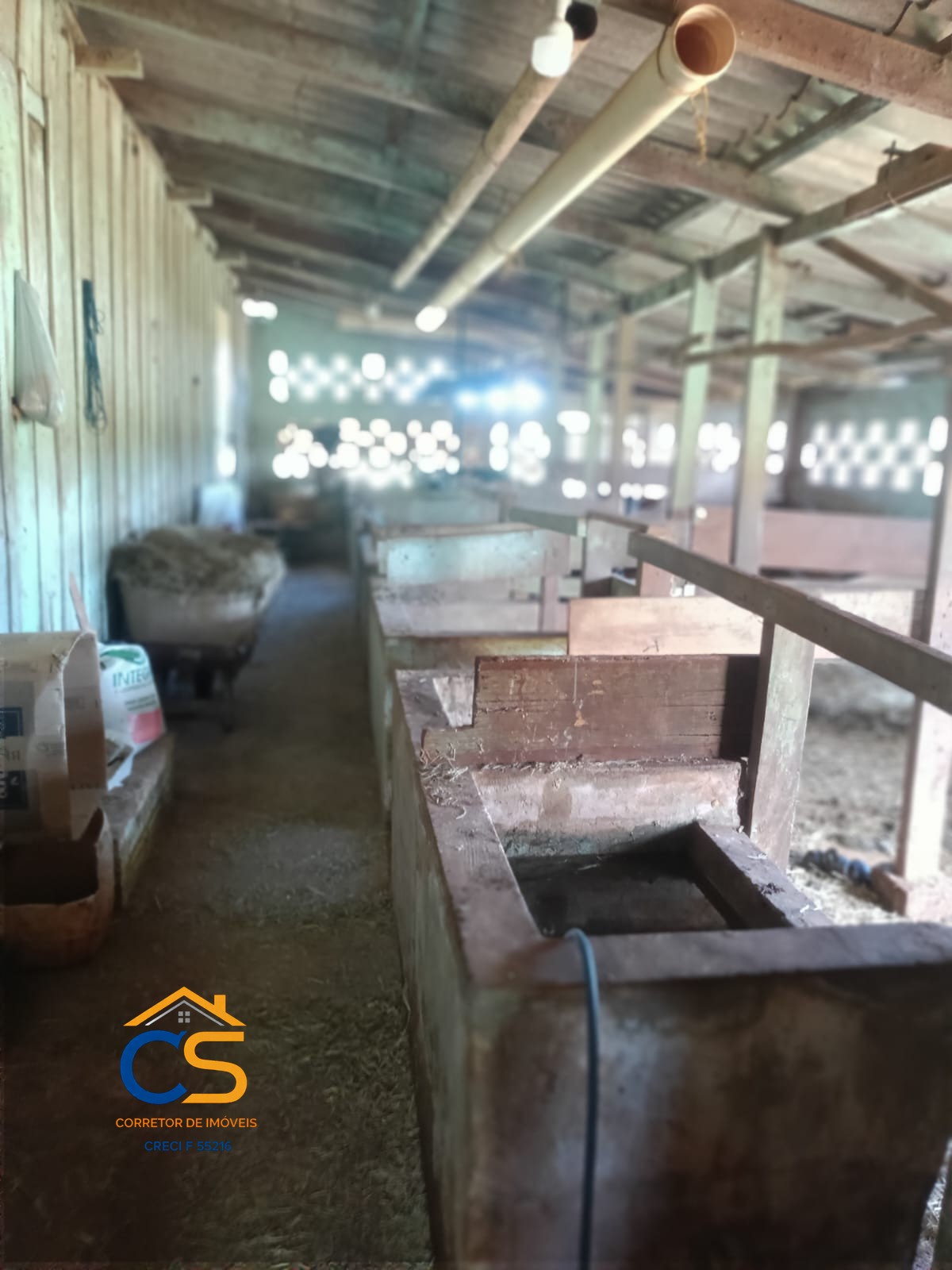 Vende-se chácara em Santa Helena Localizada na comunidade de Vila Celeste - Foto 8