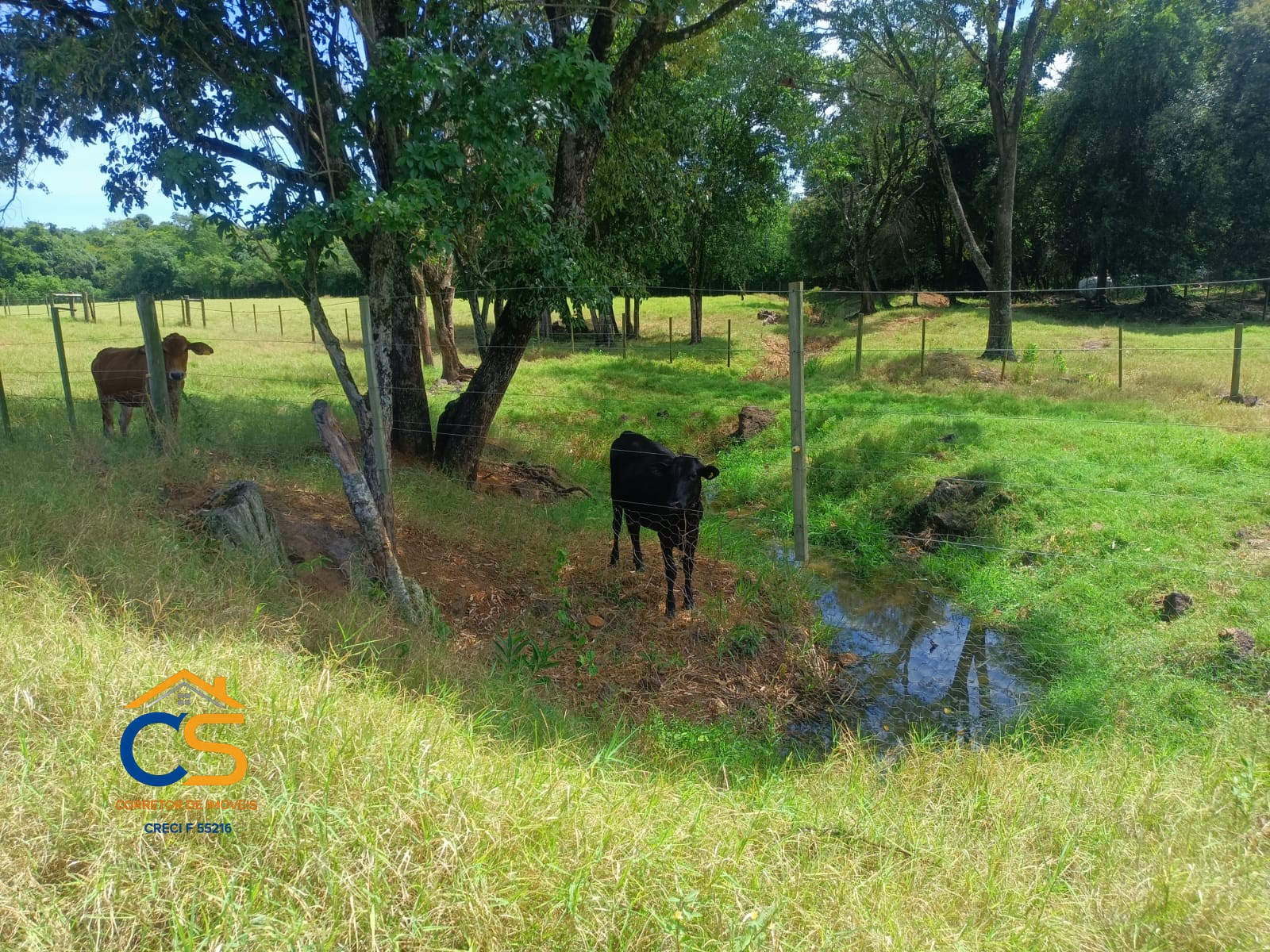 Vende-se chácara em Santa Helena Localizada na comunidade de Vila Celeste - Foto 10