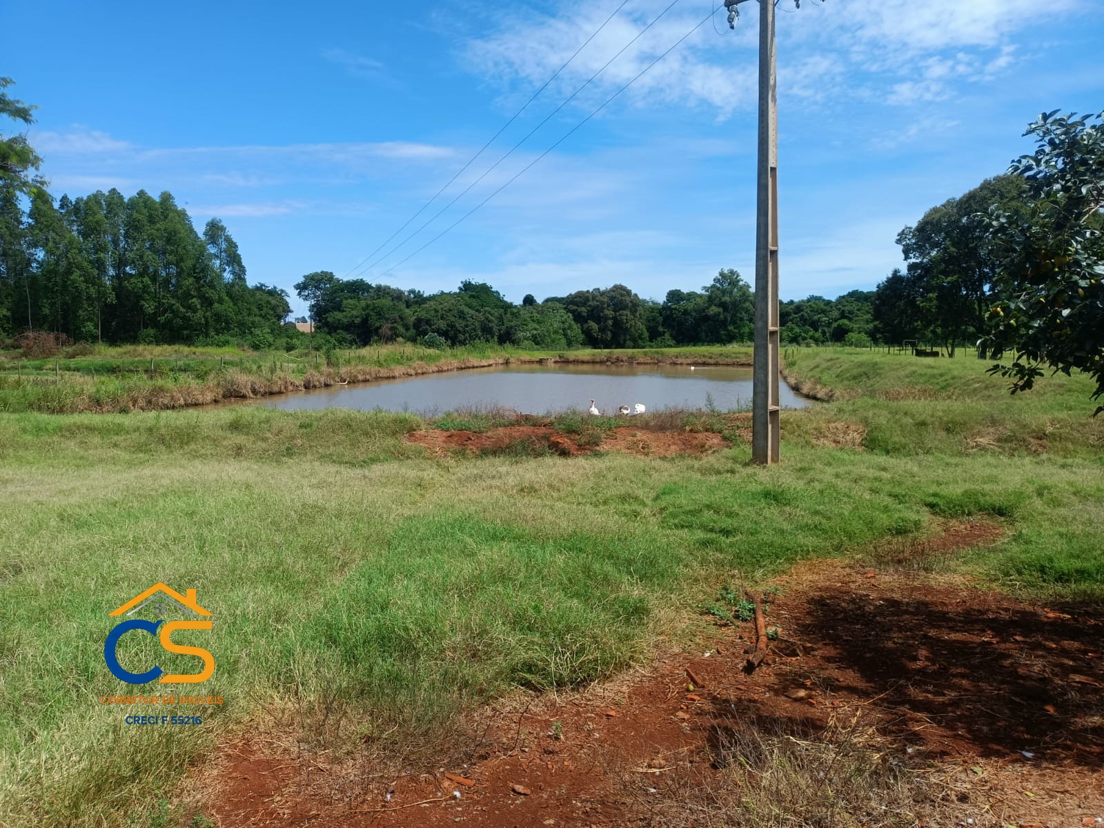 Vende-se chácara em Santa Helena Localizada na comunidade de Vila Celeste - Foto 11