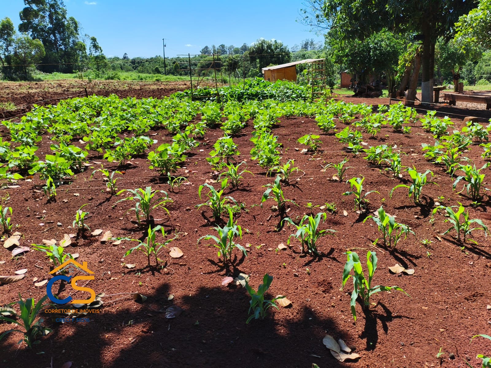 Vende-se Chácara em Santa Helena-PR  Vila Celeste
