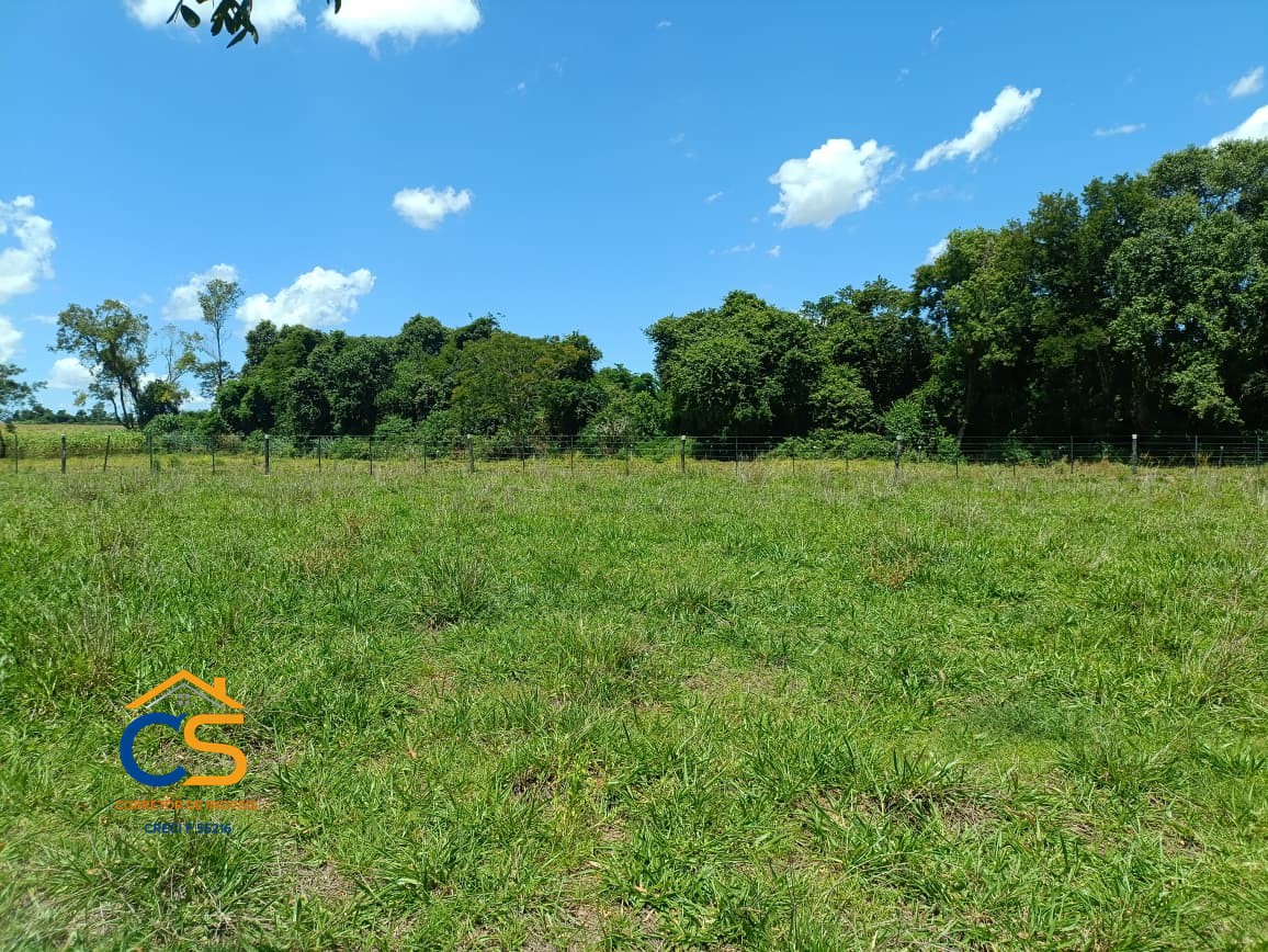 Vende-se Chácara Missal-PR  Localizada a 3 km do centro - Foto 5