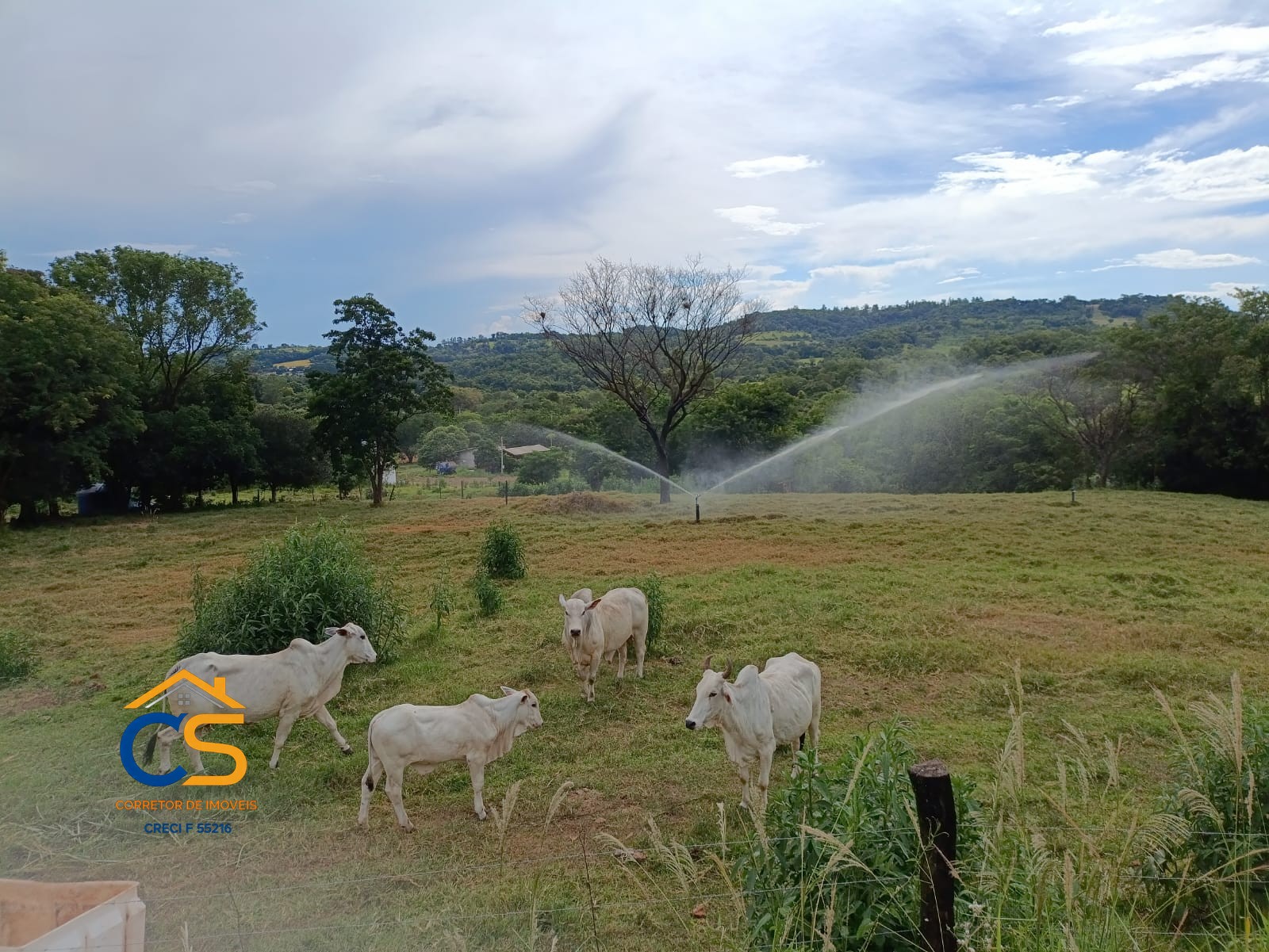 Vende-se Sitio Missal com  Granja de suínos