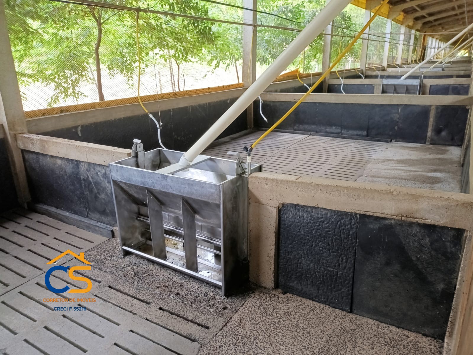 Vende-se Sitio Missal com  Granja de suínos - Foto 5