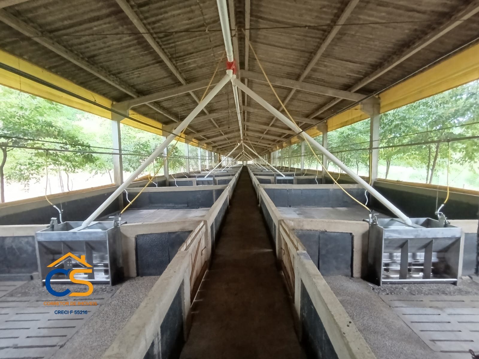 Vende-se Sitio Missal com  Granja de suínos - Foto 6