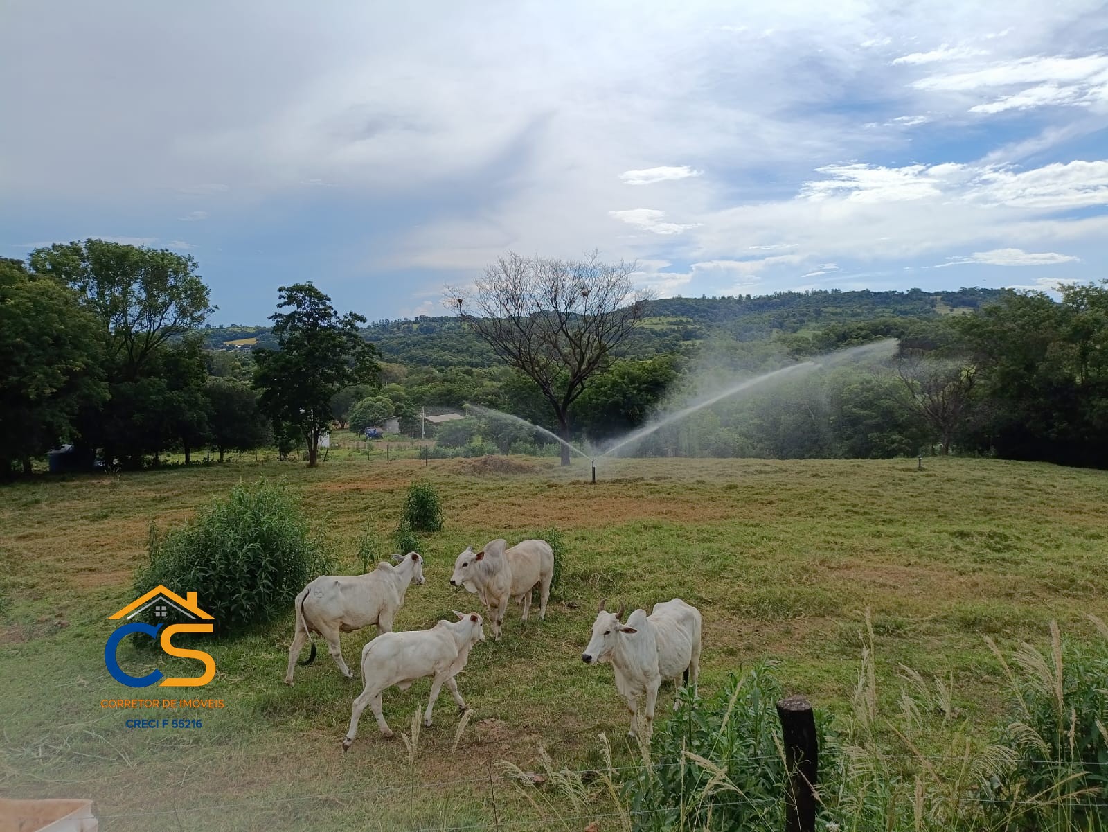 Vende-se Sitio Missal com  Granja de suínos - Foto 8