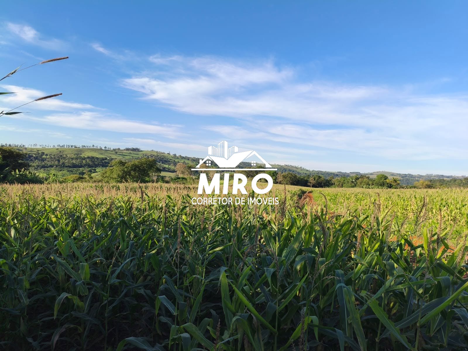Imagem 2 de VENDE-SE ÁREA DE TERRA - RAMILÂNDIA-PR 🚜Realize o sonho da sua própria produção!