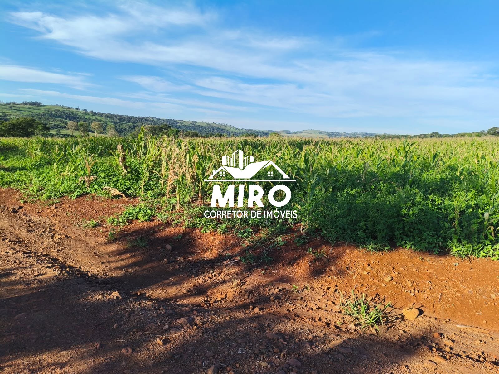 Imagem 3 de VENDE-SE ÁREA DE TERRA - RAMILÂNDIA-PR 🚜Realize o sonho da sua própria produção!