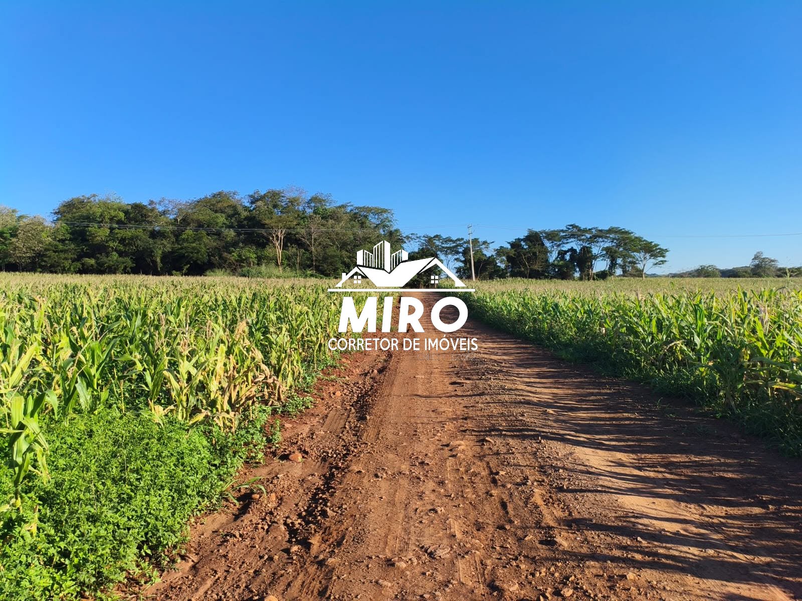 Imagem 5 de VENDE-SE ÁREA DE TERRA - RAMILÂNDIA-PR 🚜Realize o sonho da sua própria produção!
