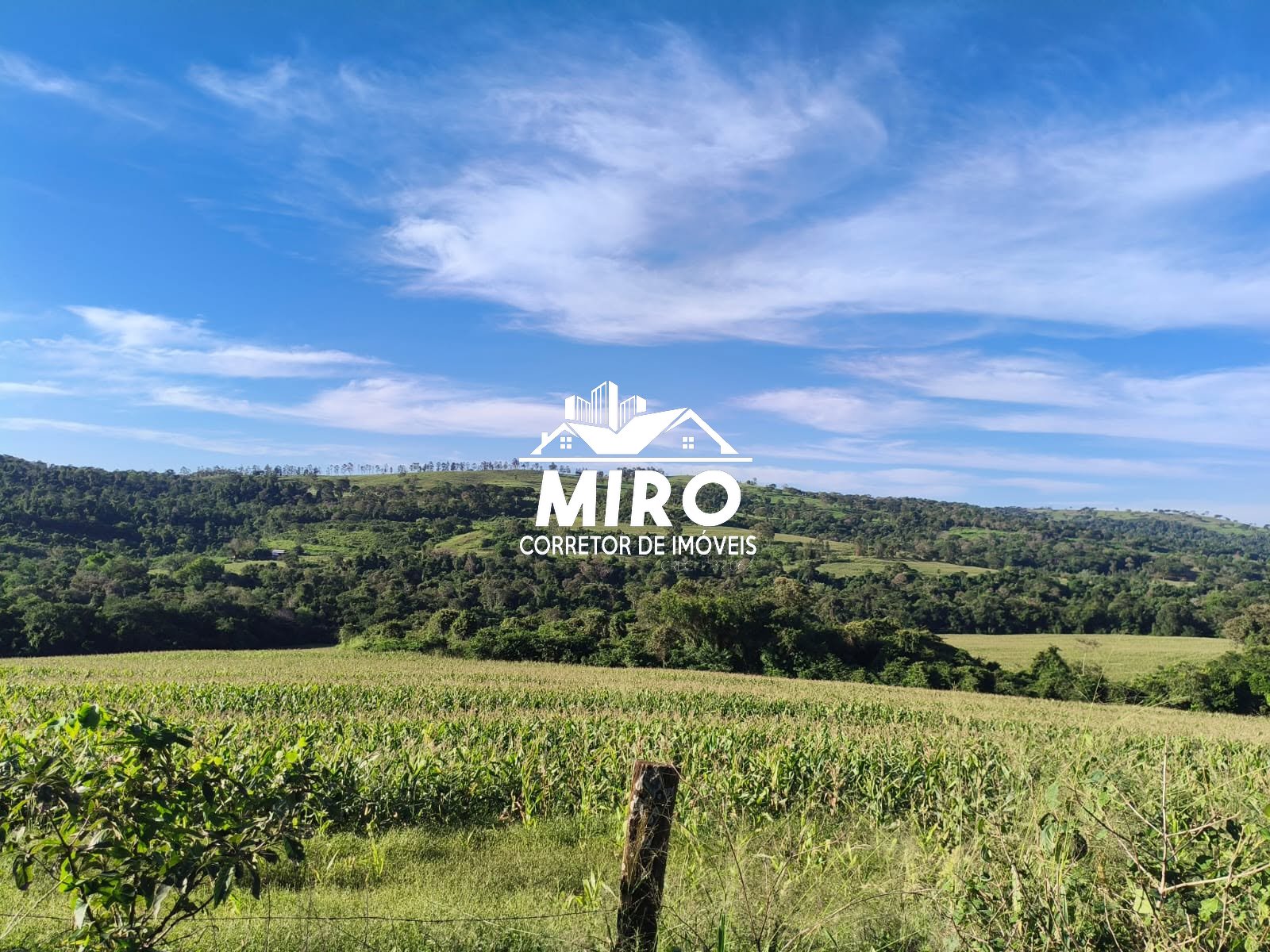 Imagem principal de VENDE-SE ÁREA DE TERRA - RAMILÂNDIA-PR 🚜Realize o sonho da sua própria produção!